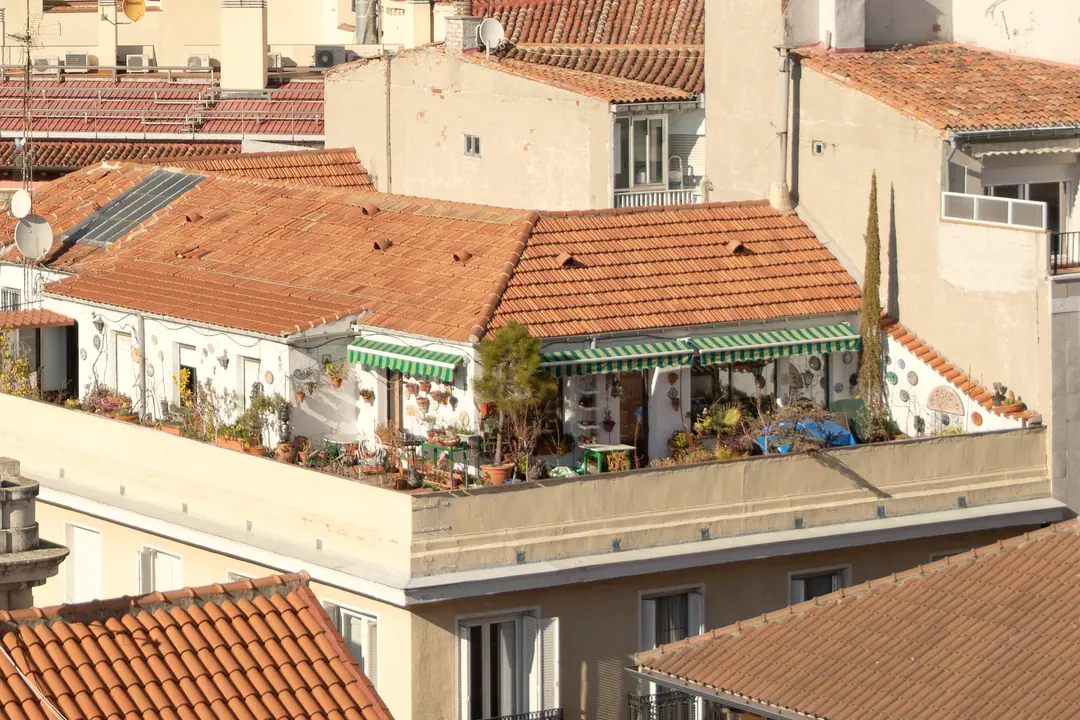 Terraza con plantas sobre los tejados del barrio